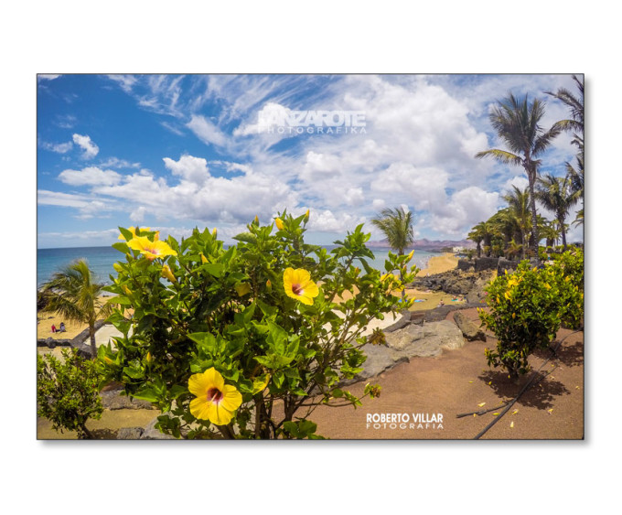 Vista de Playa Grande