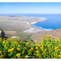 "Caleta de Famara"