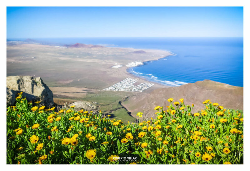 "Caleta de Famara"